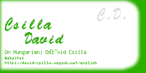 csilla david business card